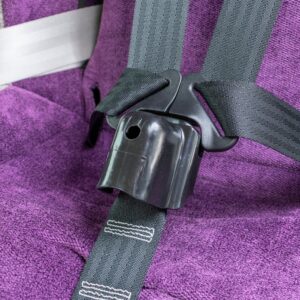 Buckle Guard