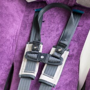 Chest Clip Guard