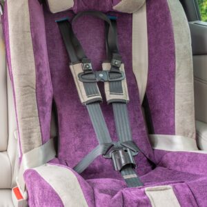 Combo: Buckle Guard & Chest Clip Guard