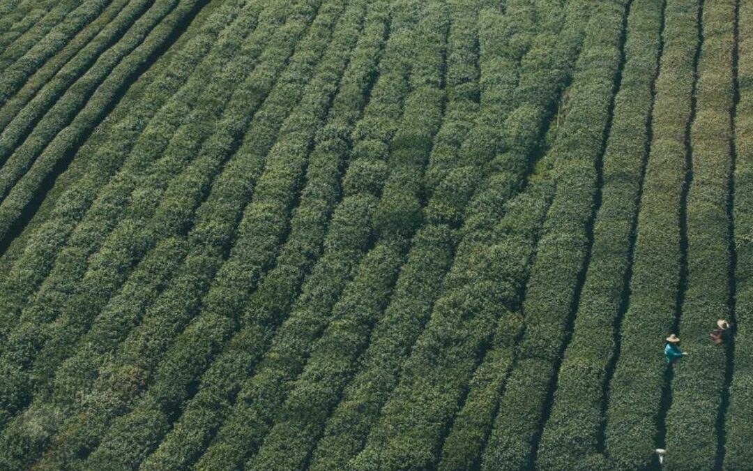 Quibusdam aliquid magnam sit ab iure