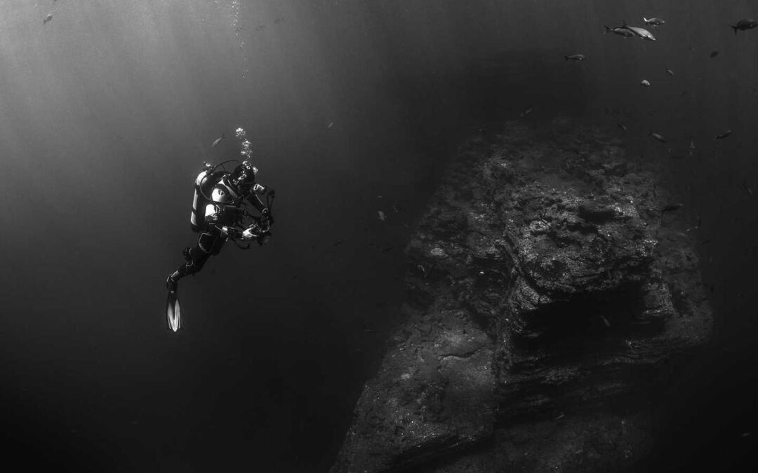 Explicabo quae commodi aperiam